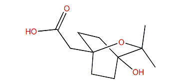 4-Hydroxy-7-cineolic acid